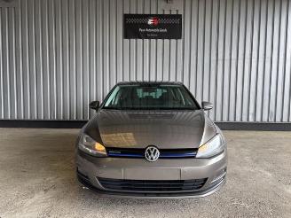 Volkswagen Golf VII Lim. 1.6 TDI Comfortline BlueMotion picture 9