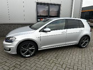 Volkswagen e-Golf E-Golf picture 21