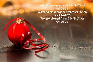 uszkodzony samochody osobowe Audi  Gesloten van 24-12 tot 04-01-26 2026/1