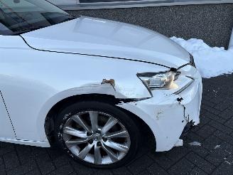 Lexus IS 300h Hybrid Business Line picture 27