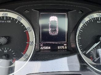 Skoda Rapid 1.2 TSI Greentech Edition picture 16