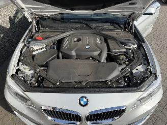 BMW 2-serie 230i Executive Cabrio picture 17