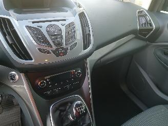 Ford C-Max C-Max (DXA) MPV 1.0 Ti-VCT EcoBoost 12V 125 (M1DA(Euro 5)) [92kW]  (10=
-2012/06-2019) picture 15