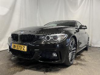 Avarii autoturisme BMW 4-serie 4 serie (F32) Coupé 420i 2.0 Turbo 16V (N20-B20B) [135kW]  (11-2013/=
02-2017) 2016/2