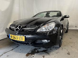 uszkodzony samochody osobowe Mercedes SLK SLK (R171) Cabrio 3.5 350 V6 24V (M272.963) [200kW]  (06-2004/02-2011)= 2005/8