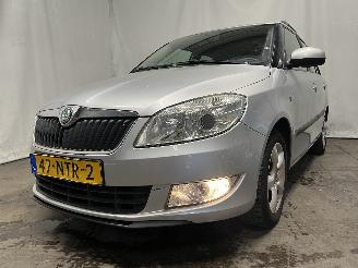 Damaged car Skoda Fabia Fabia II Combi Combi 5-drs 1.2 TDI 12V Greenline (CFWA) [55kW]  (05-20=
10/12-2014) 2010/11