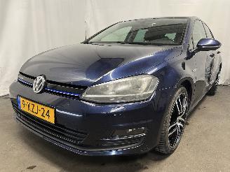 škoda osobní automobily Volkswagen Golf Golf VII (AUA) Hatchback 1.6 TDI BlueMotion 16V (CRKB) [81kW]  (01-201=
3/03-2020) 2013/8