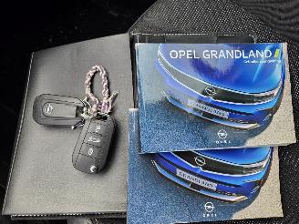 Opel Grandland Innovation picture 29