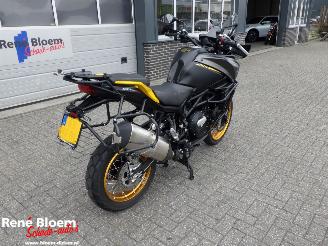 QJMotor SRT 800 SX  picture 6