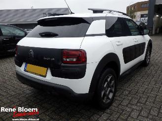 Citroën C4 cactus 1.2 Puretech Business Plus 110pk picture 3