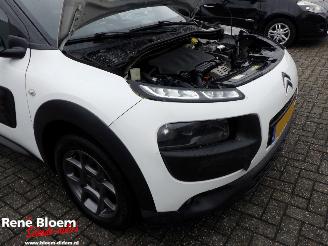Citroën C4 cactus 1.2 Puretech Business Plus 110pk picture 16
