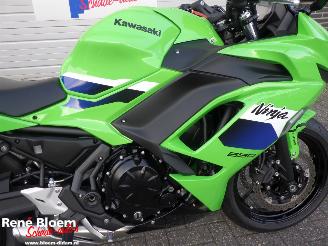 Kawasaki Ninja 650  picture 20