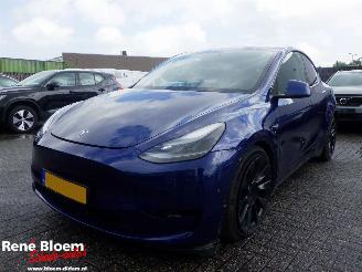 Damaged car Tesla Model Y Longe Range AWD 75kWh 2024/9