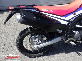 Honda CRF 250 Rally picture 6