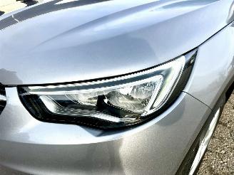 Opel Grandland X 1.2 Turbo 131pk 6-bak Online Edition - nap - navi - clima - cruise - pdc v+a - carplay - privacy glass picture 9