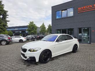 krockskadad bil auto BMW 1-serie 218i COUPE /  M- PERFORMANCE 2019/10