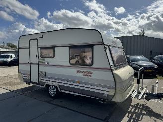 LMC  Munsterland 430K picture 2