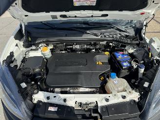 Fiat Doblo 1.6 MJ L2 H1 MAXI picture 10
