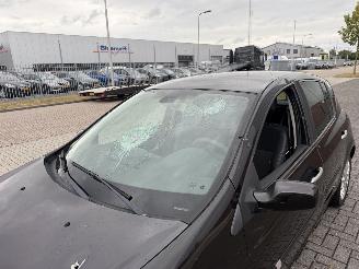 Renault Clio 1.2 TCE 74kw CLIMA picture 9