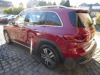 Mercedes EQB 250 picture 10