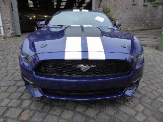Ford Mustang 2.3 picture 2