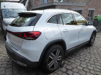 Mercedes EQA 250+ Luxury Line picture 4