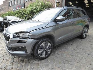 Unfallwagen Skoda Karoq Ambition 2024/1
