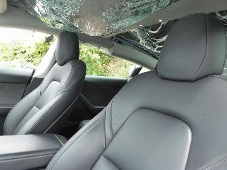 Tesla Model 3  picture 15