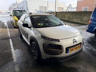 Citroën C4 cactus 1.6 BlueHDi Panorama Camera picture 2