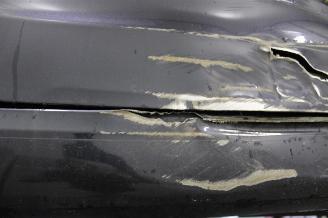 Tesla Model 3  picture 20