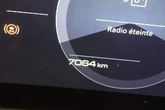 Peugeot 3008  picture 13