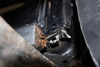 Ford Puma  picture 20