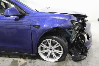 Tesla Model Y  picture 6