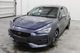 Avarii autoturisme Cupra Leon  2023/12