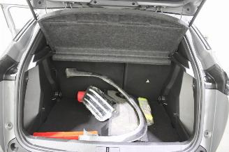 Peugeot 2008  picture 19