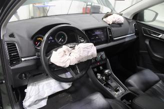 Skoda Karoq  picture 10