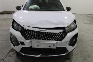 Peugeot 2008  picture 6