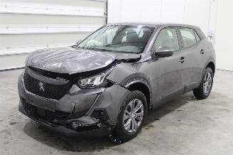 Peugeot 2008  picture 1