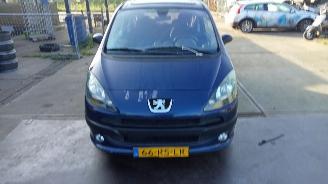 škoda osobní automobily Peugeot 1007  2005/8
