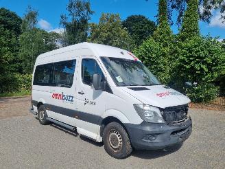 Schadeauto Mercedes Sprinter 314 CDI Aut 9 Stoelen + Rolstoellift 2017/11