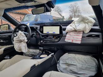 Lexus ES 300h President Line Aut. Schuifdak VOLL picture 13