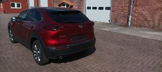 Mazda CX-30 Exclusieve Line 1.8 Full-Led Headup Display Navigatie Voll Leder Sportstoelen Memory keyless Entry Blindspot systeem Bose-sound elektrische achterklep Climatecontrol picture 6
