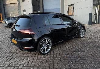 Volkswagen Golf 2.0 TSI 300Pk R 4Motion Pano picture 7