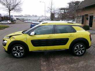 Citroën C4 cactus 1.2 VTI SHINE CLIMA picture 2