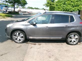 Peugeot 2008 1.6 VTI ALLURE CLIMA NAVI PANO picture 2