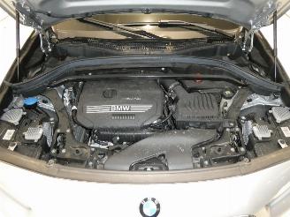 BMW X2 SDRIVE18I picture 24