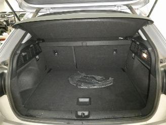 Audi Q2  picture 17