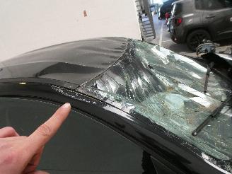 Renault Arkana  picture 21