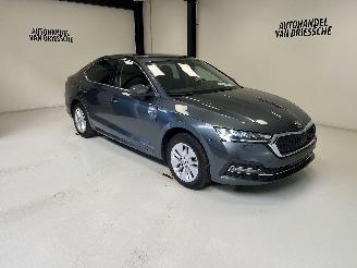 Vaurioauto  passenger cars Skoda Octavia AMBITION 2021/2