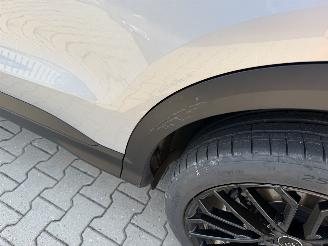 Audi Q5 2.0 TDI / Quattro/ Panorama / picture 20